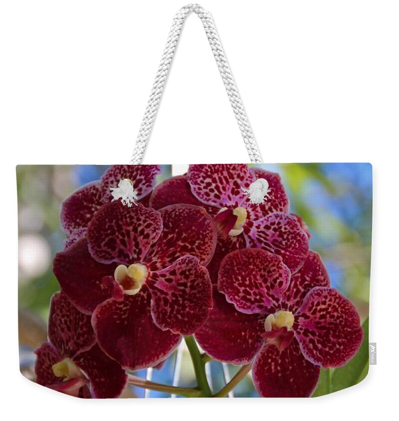 Red Weekender Tote Bag featuring the photograph Orchid Bouquet by Michiale Schneider