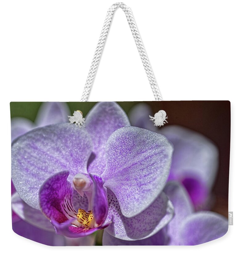 Orchid Weekender Tote Bag featuring the photograph Orchid by Dan McManus