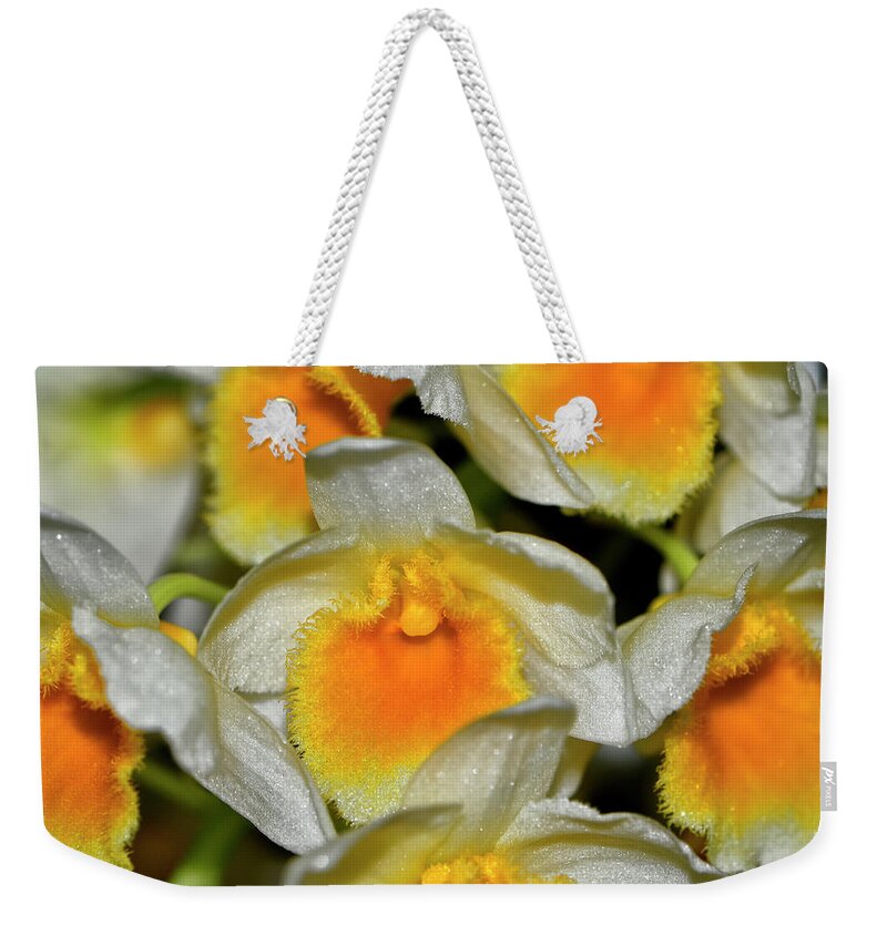Orchid Weekender Tote Bag featuring the photograph Orchid - Dendrobium thyrsiflorum 002 by George Bostian