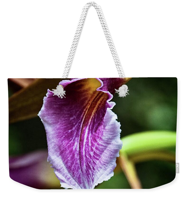 Flower Weekender Tote Bag featuring the photograph Orchid II by Christopher Holmes
