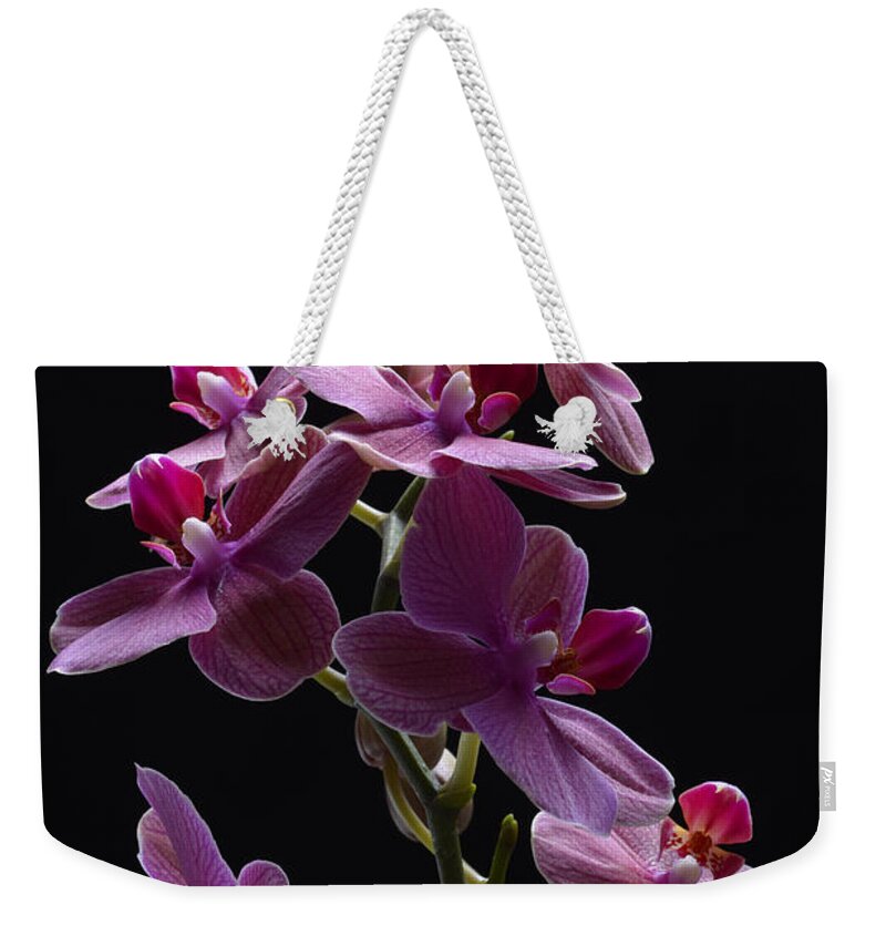 Orchid Weekender Tote Bag featuring the photograph Orchid in flight by Robert WK Clark