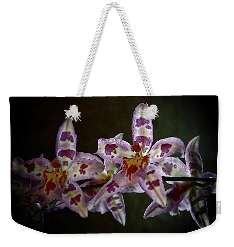 Spotted Orchids Weekender Tote Bag featuring the photograph Orchids 16 by Karen McKenzie McAdoo