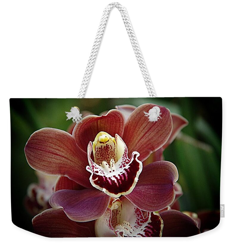Brown Orchid Weekender Tote Bag featuring the photograph Orchids 7 by Karen McKenzie McAdoo