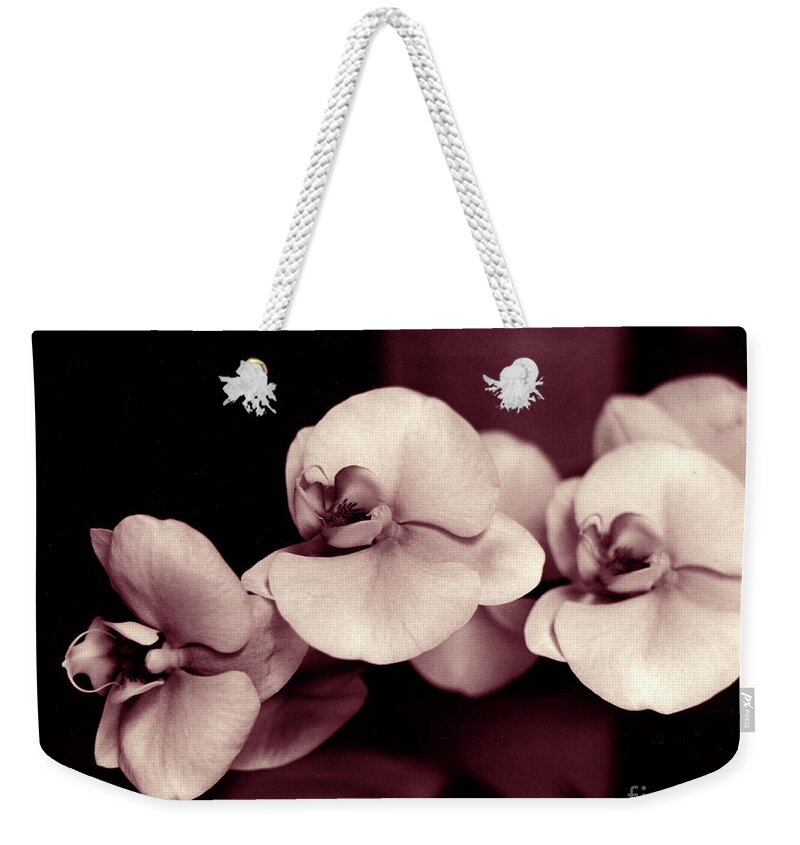 Orchids Weekender Tote Bag featuring the photograph Orchids Hawaii by Mukta Gupta