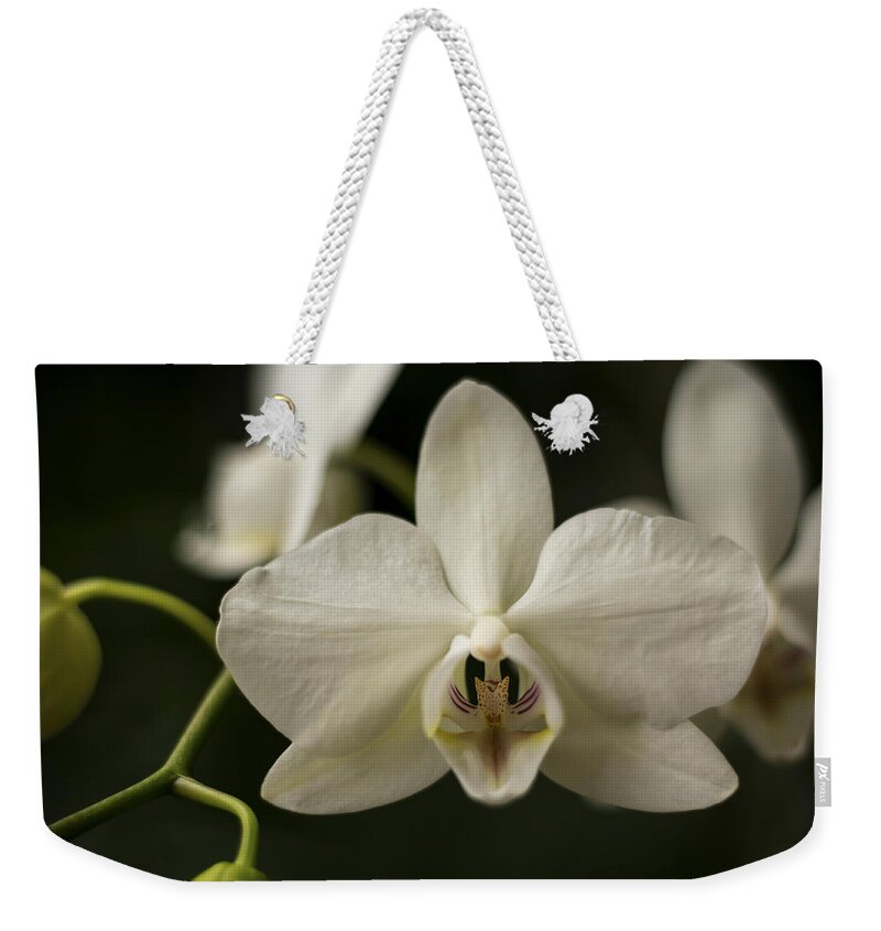 Orchid Weekender Tote Bag featuring the photograph Orchids by Holly Ross