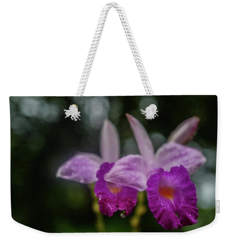 Singapore Botanic Gardens Weekender Tote Bag featuring the photograph Orchids love the Rain by Jocelyn Kahawai