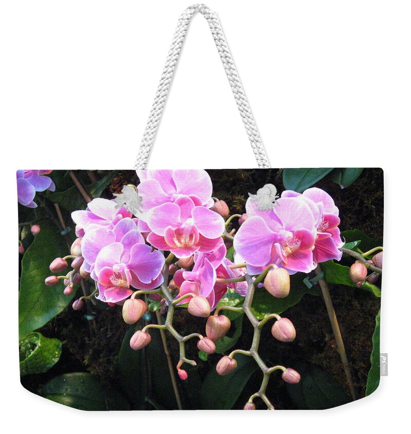 Orchid Weekender Tote Bag featuring the photograph Orchids by Marsha Elliott