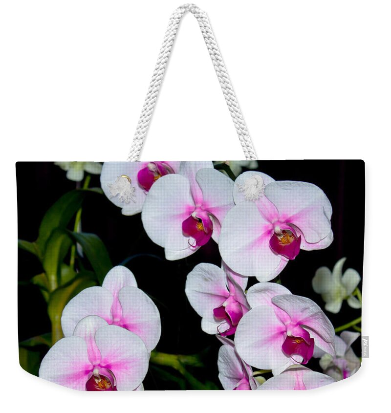 Orchid Weekender Tote Bag featuring the photograph Orchids on Black by Michele A Loftus