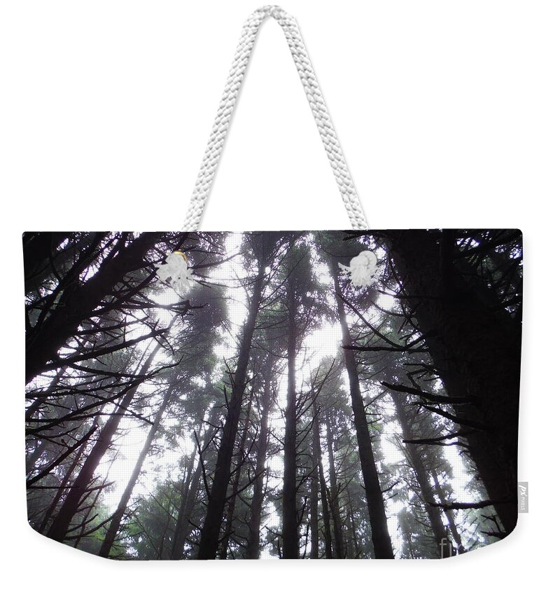 Oregon Pine Tops 2 Weekender Tote Bag featuring the photograph Oregon Pine Tops 2 by Paddy Shaffer