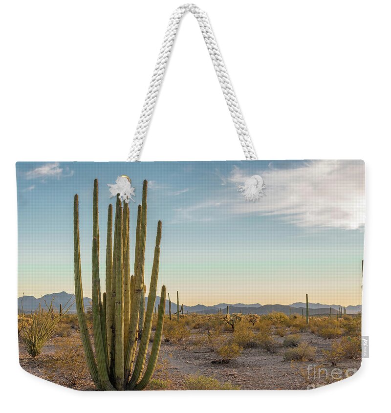 Cactus Weekender Tote Bag featuring the photograph Organ Pipe nearing Twilight by Jeff Hubbard