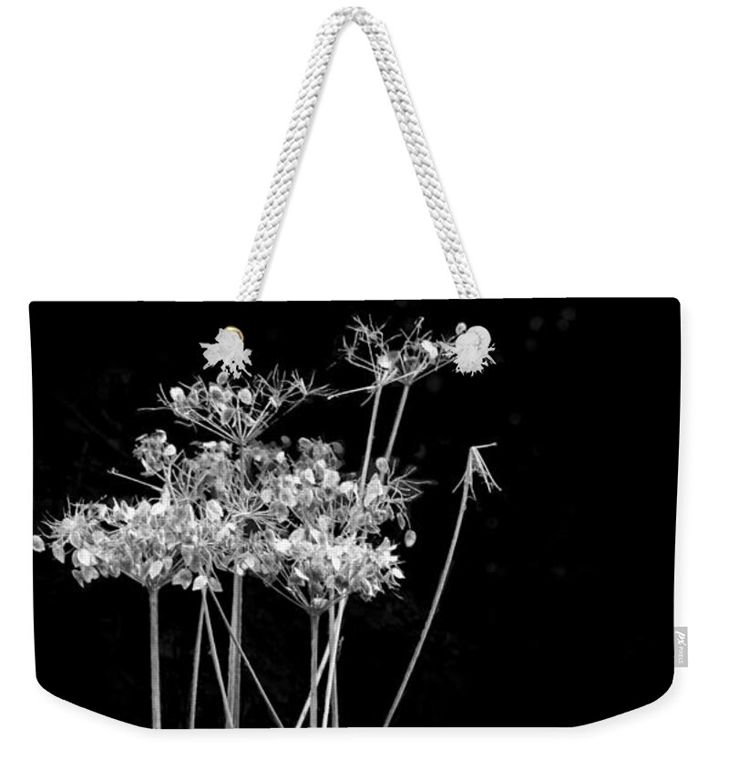 Photography By Paul Davenport Weekender Tote Bag featuring the photograph Organic Enhancements 7 by Paul Davenport