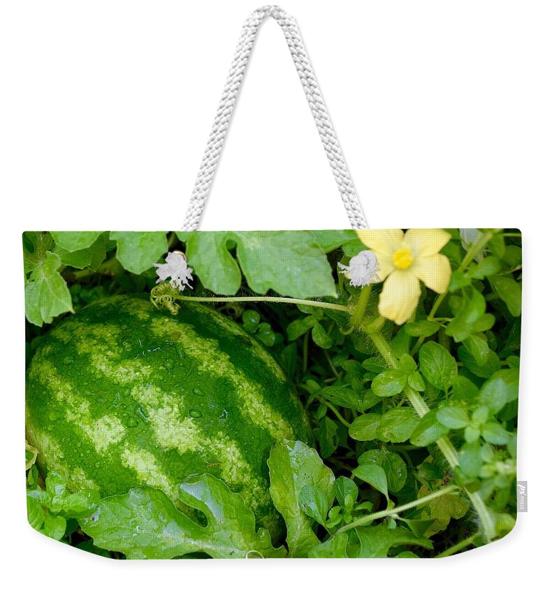 Organic Watermelon Weekender Tote Bag featuring the photograph Organic Watermelon by Maria Jansson