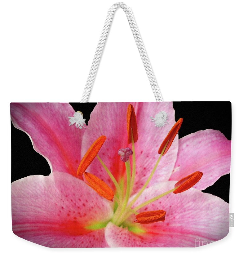 Lily Weekender Tote Bag featuring the photograph Oriental Beauty by Sue Melvin