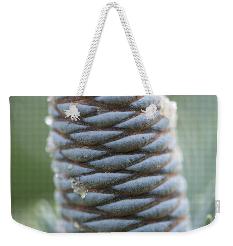Ornament Of Nature Weekender Tote Bag featuring the photograph Ornament of Nature by Dale Kincaid