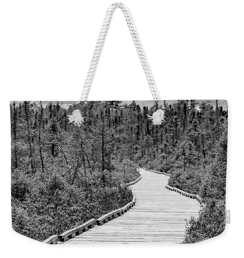 Orono Weekender Tote Bag featuring the photograph Orono Bog Walk by Holly Ross