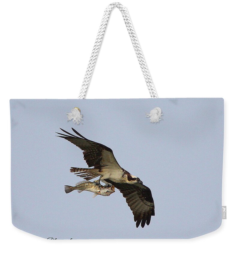 Osprey Catching A Fish Weekender Tote Bag featuring the photograph Osprey catches a fish by Barbara Bowen