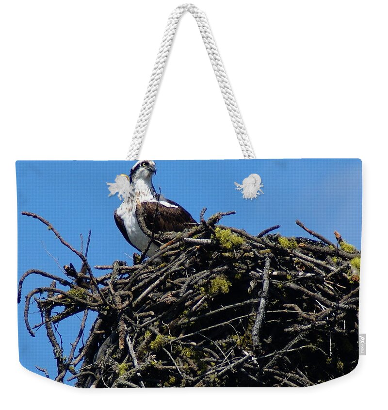 Birds Weekender Tote Bag featuring the photograph Osprey in Nest by Ben Upham III