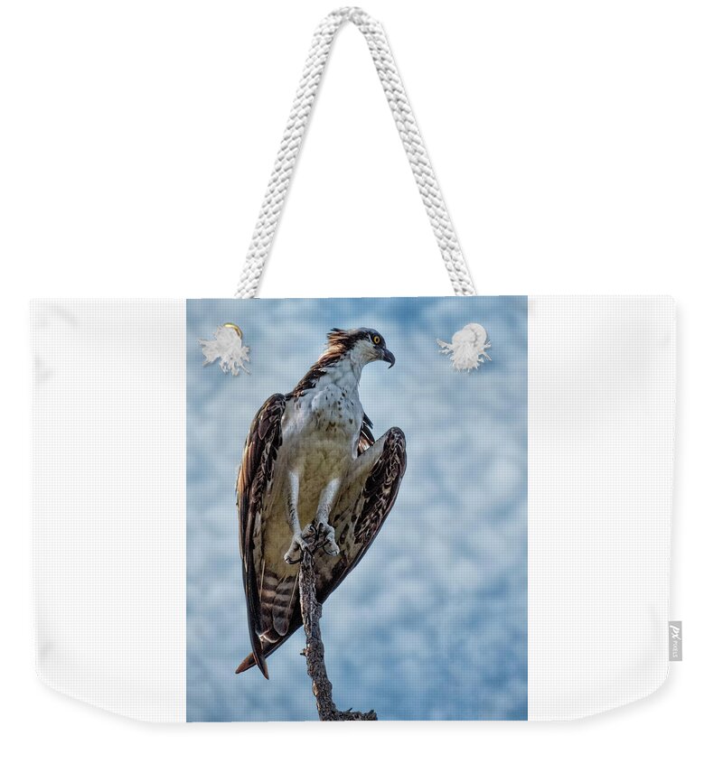Osprey Weekender Tote Bag featuring the photograph Osprey on Top of the World #2 by Mitch Spence