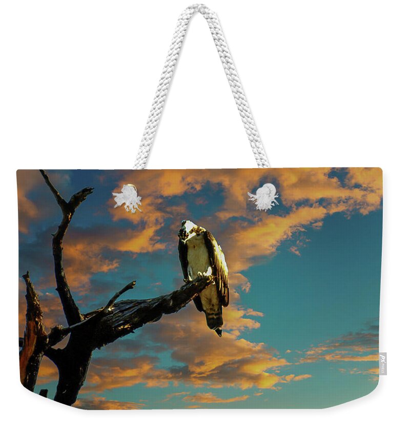 Birds. Nature Weekender Tote Bag featuring the photograph Osprey On Watch by Rick Redman