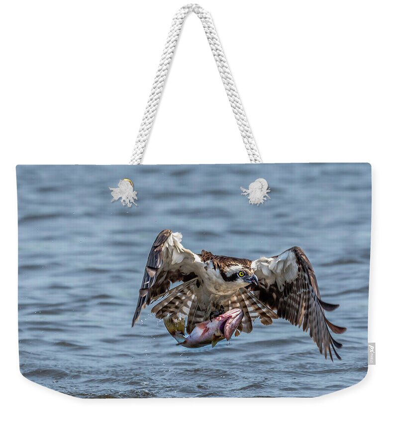 Animal Weekender Tote Bag featuring the photograph Osprey with Catch 9108 by Donald Brown
