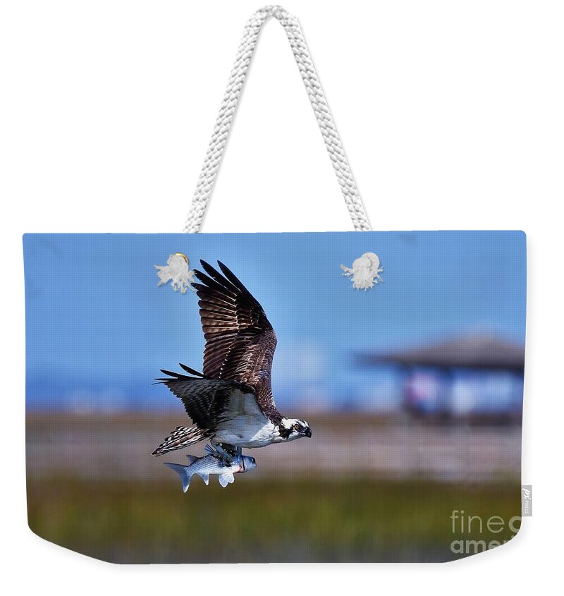 Osprey Weekender Tote Bag featuring the photograph Osprey With Dinner by Julie Adair