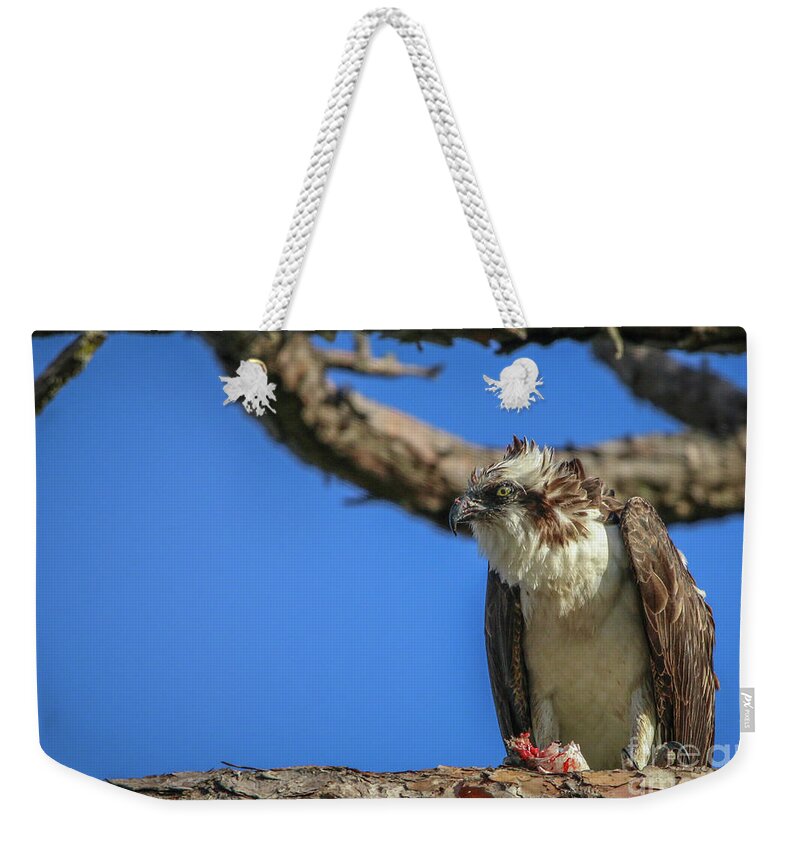 Osprey Weekender Tote Bag featuring the photograph Osprey with Prey #6 by Tom Claud