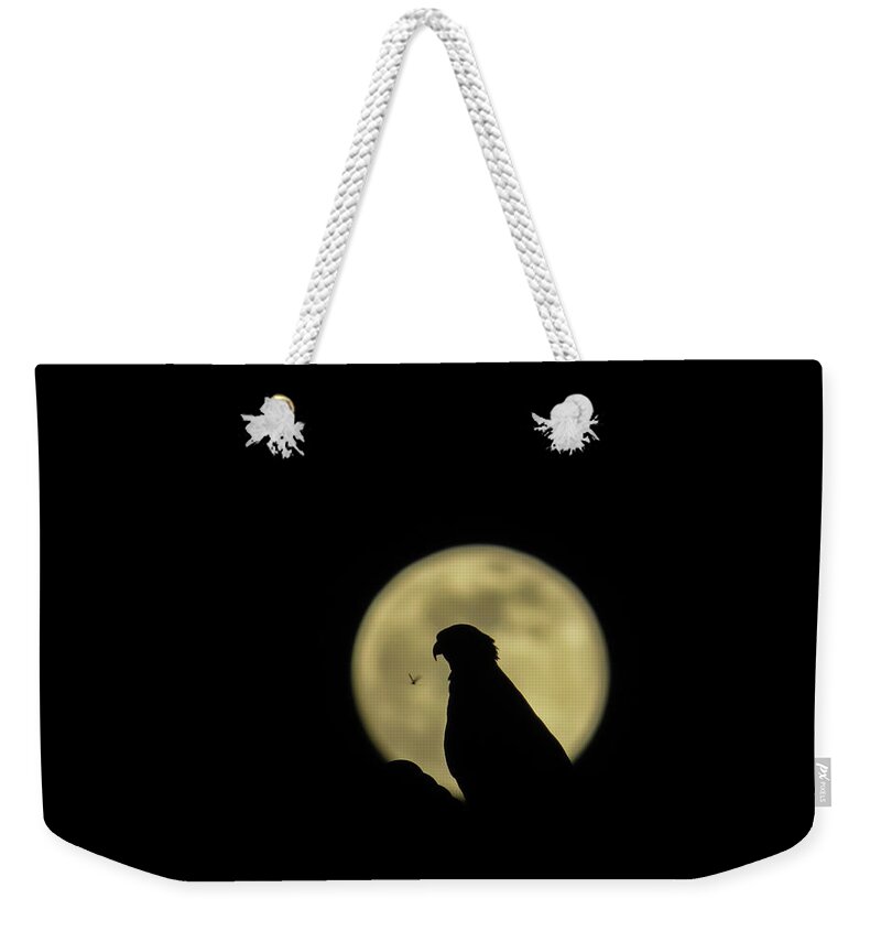 Moon Weekender Tote Bag featuring the photograph Osprey's silhouette in full moon by Zina Stromberg