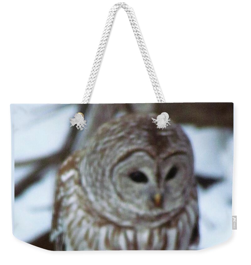 Owl Weekender Tote Bag featuring the photograph Our Own Owl by Betty Pieper