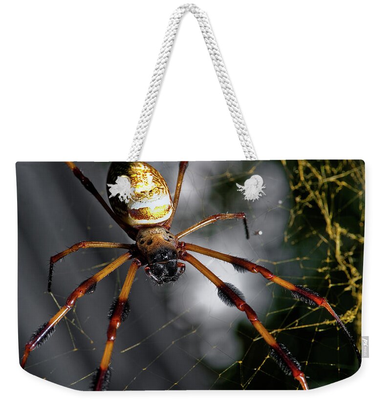 Spider Weekender Tote Bag featuring the photograph Out Of The Dark by Christopher Holmes