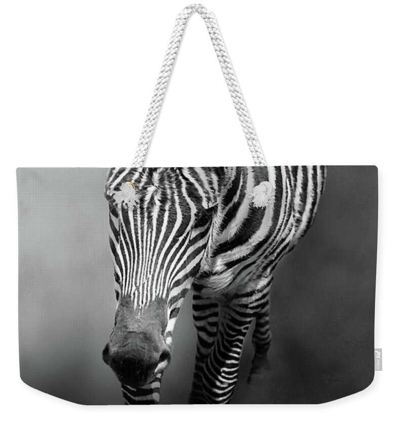 Zebra Weekender Tote Bag featuring the photograph Out of the Mist by Theresa Campbell