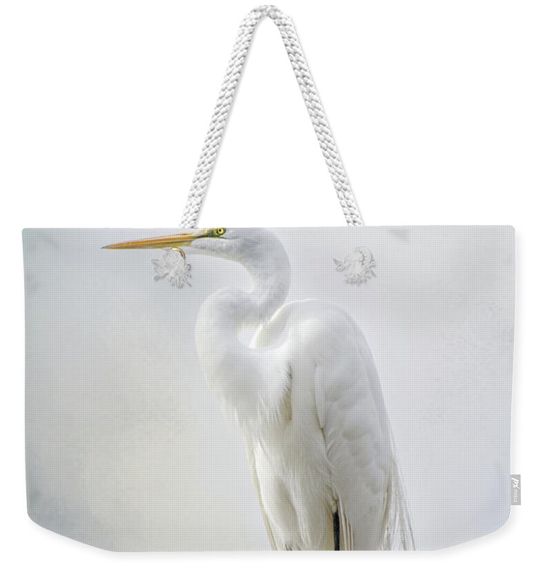 Nature Weekender Tote Bag featuring the photograph Out on a Limb by Norma Warden