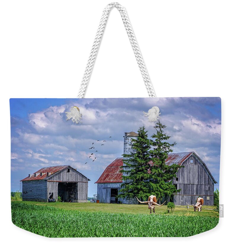 Farm Landscape In North Central Ohio. Barns Weekender Tote Bag featuring the photograph Out to Pasture by Mary Timman