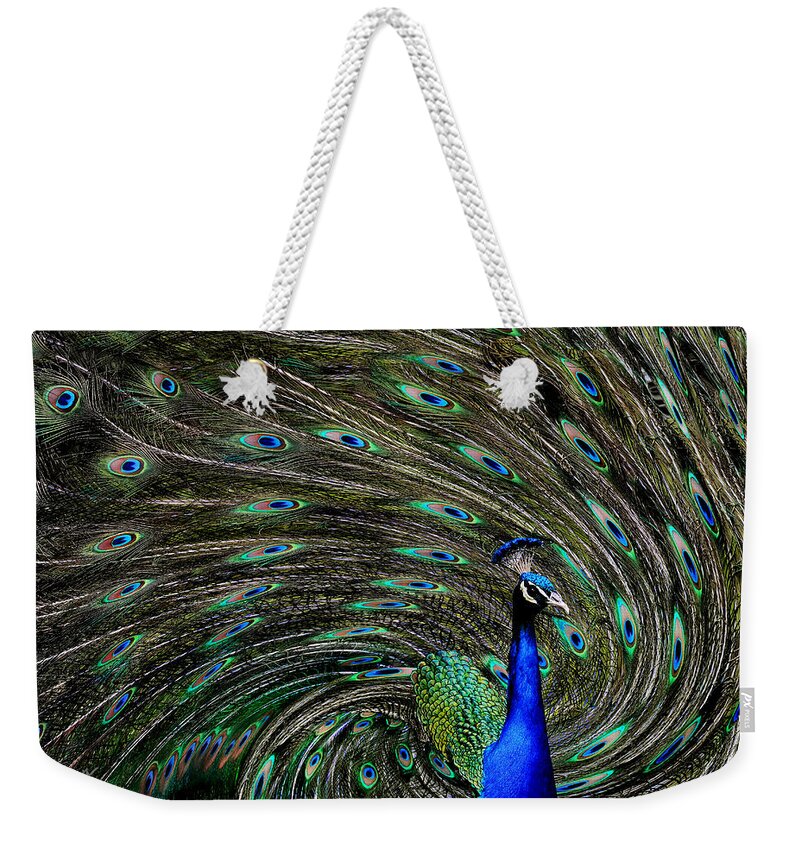 Peacock Weekender Tote Bag featuring the photograph Outrageous Peacock by Joe Bonita