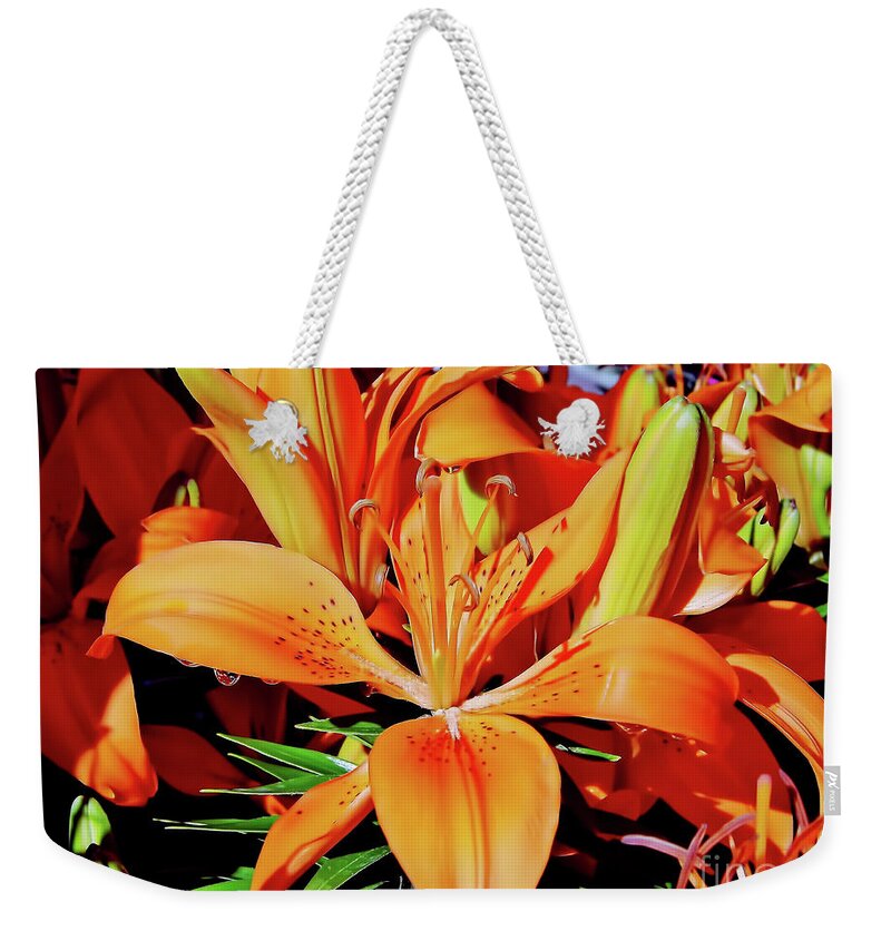 Orange Weekender Tote Bag featuring the photograph Outstanding Orange Tiger Lilies by D Hackett