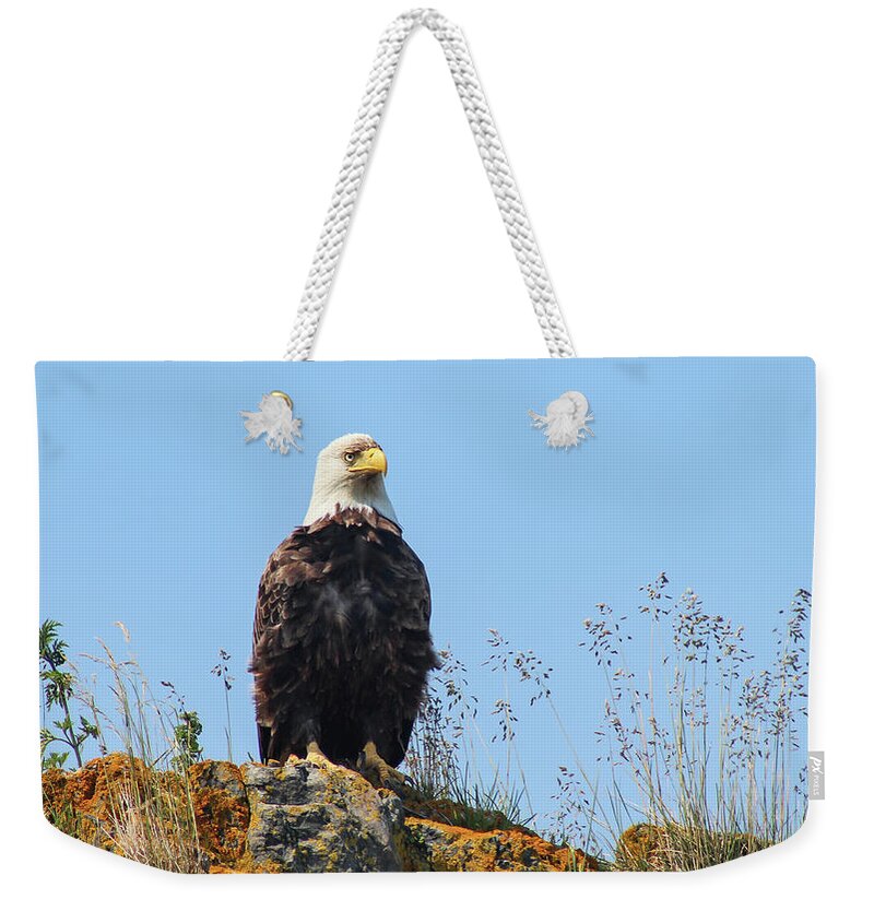 Eagle Weekender Tote Bag featuring the photograph Overseer by Holly Ross
