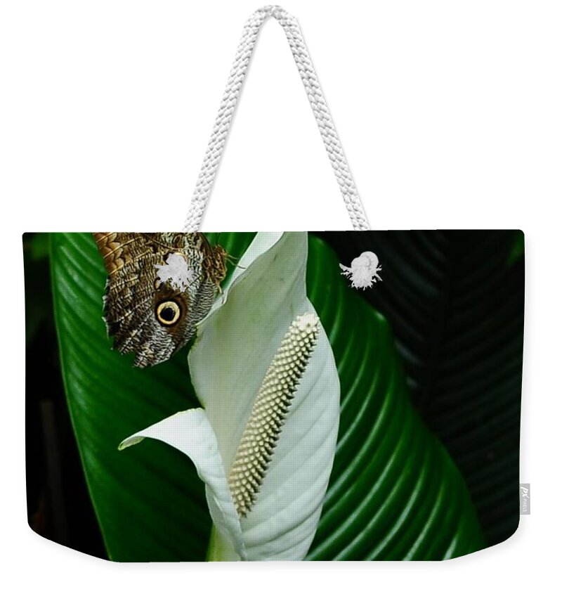 Butterfly Weekender Tote Bag featuring the photograph Owl Butterfly on Calla Lily by Elaine Manley