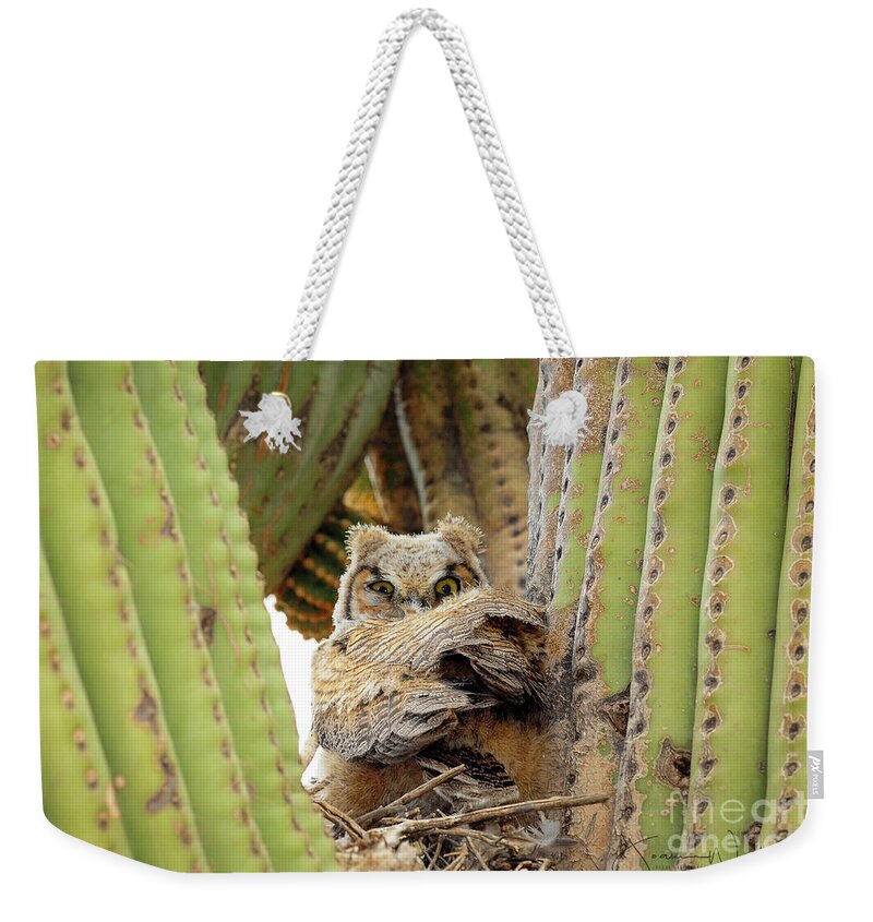 Nature Weekender Tote Bag featuring the photograph Owl Dracula by Joanne West