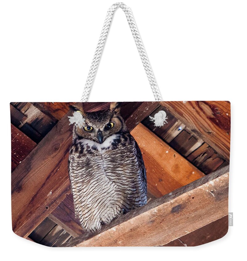 Animals Weekender Tote Bag featuring the photograph Owl in a Barn by Rikk Flohr