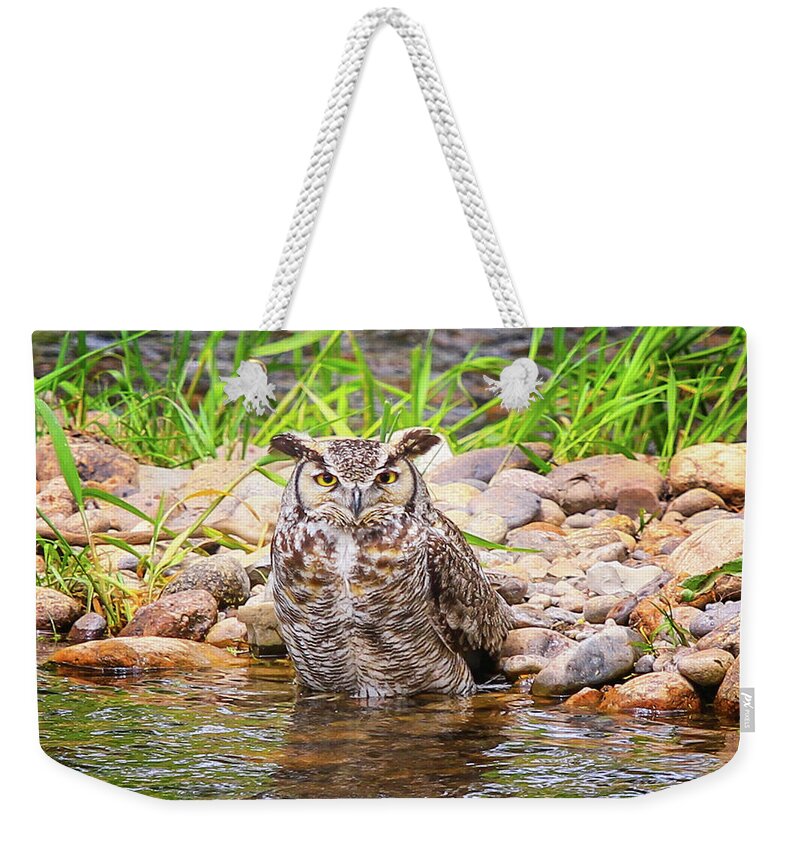 Owl Weekender Tote Bag featuring the photograph Owl In The Creek by Juli Ellen