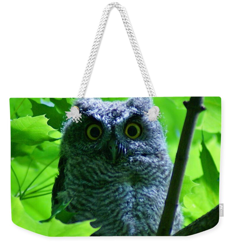 Owl Weekender Tote Bag featuring the photograph Owl in the Woods by Ben Upham III