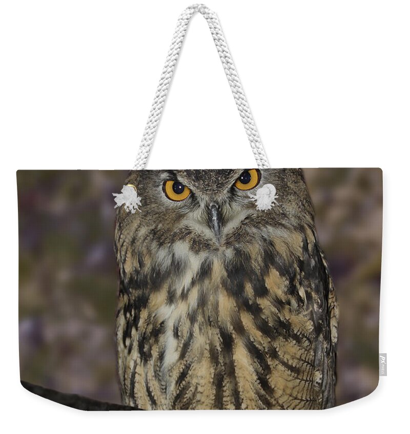 Owl Weekender Tote Bag featuring the photograph Owl by Michele A Loftus