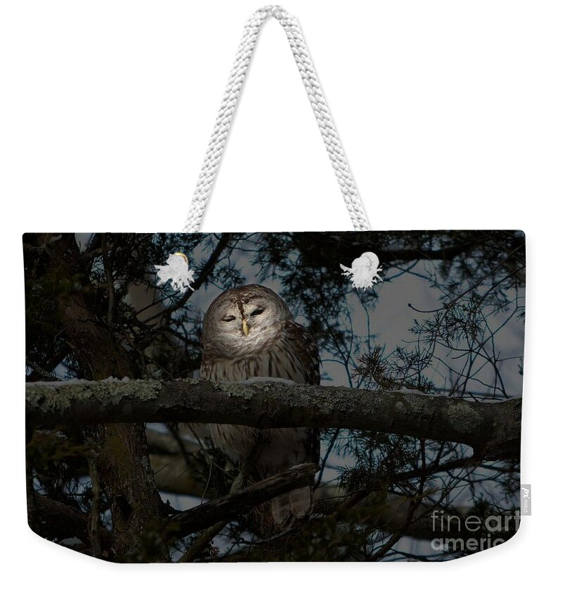 Owl Weekender Tote Bag featuring the photograph Owl Mystique by Dani McEvoy