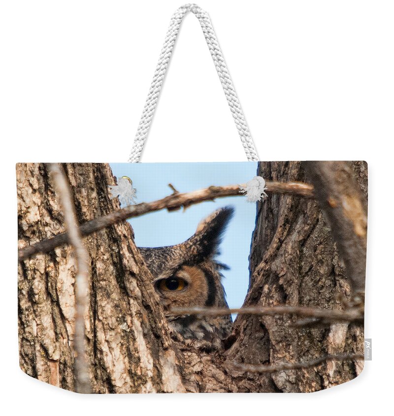 Owl Weekender Tote Bag featuring the photograph Owl Peek by Steve Stuller