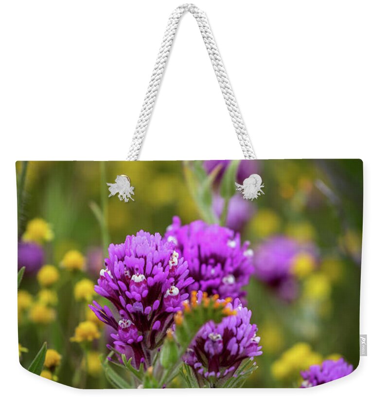 Blm Weekender Tote Bag featuring the photograph Owl's Clover by Peter Tellone