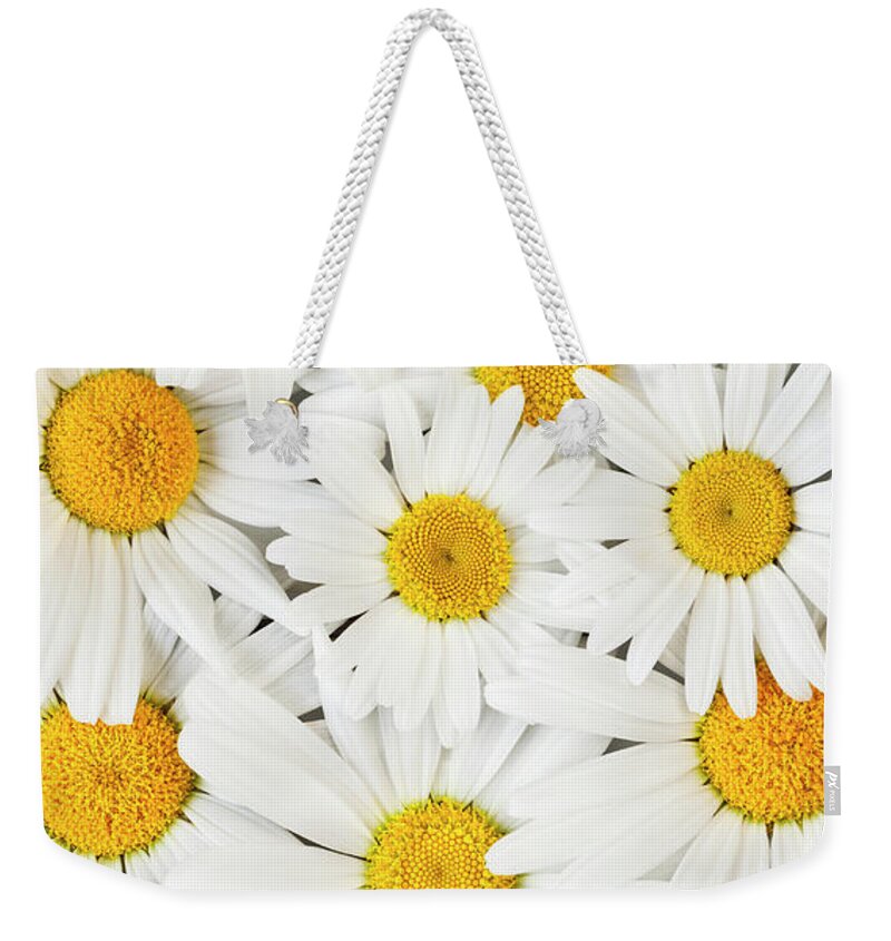 Daisy Weekender Tote Bag featuring the photograph Oxeye Daisies 2 by Alan L Graham