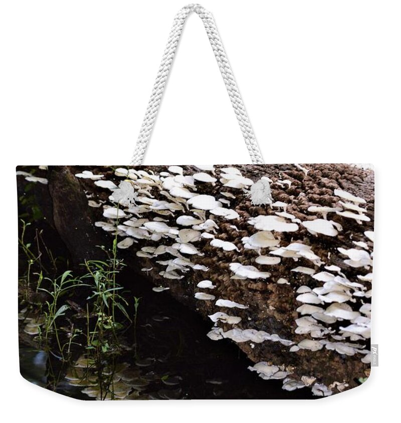 Oyster Mushrooms And Reflections Weekender Tote Bag featuring the photograph Oyster Mushrooms and Reflections by Warren Thompson