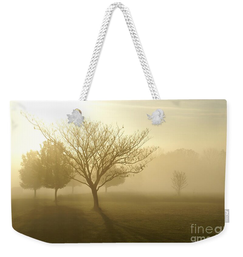 Fog Weekender Tote Bag featuring the photograph Ozarks Misty Golden Morning Sunrise by Jennifer White