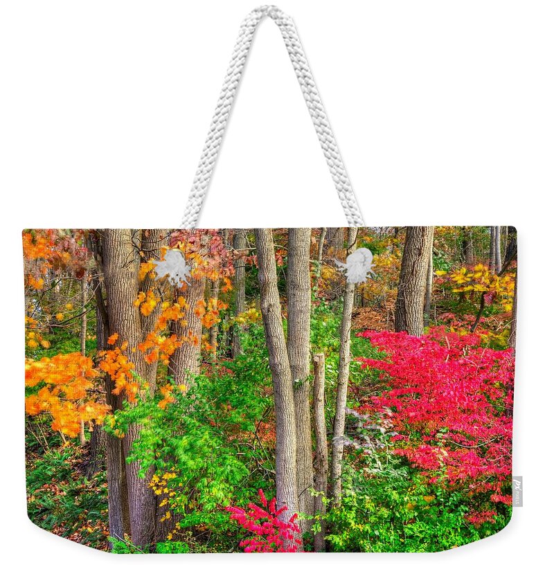 Pennsylvania Weekender Tote Bag featuring the photograph PA Country Roads - Autumn Flourish - Harmony Hill Nature Area - Chester County PA by Michael Mazaika
