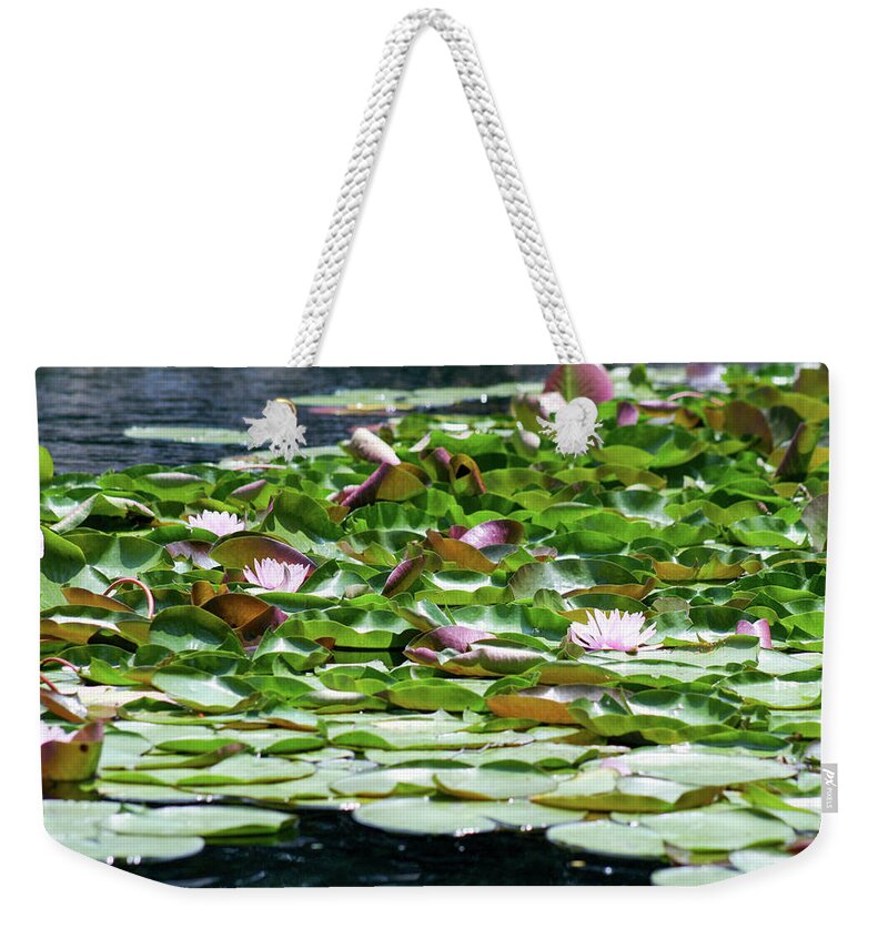 Ponds Weekender Tote Bag featuring the photograph Padalicious by Mary Anne Delgado