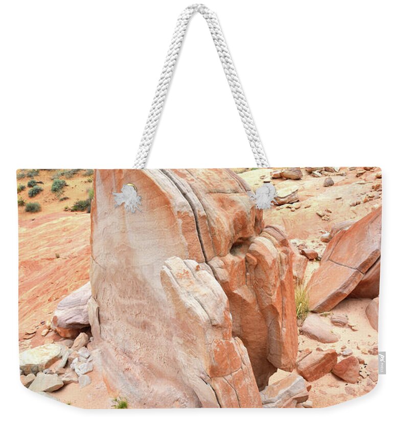 Valley Of Fire State Park Weekender Tote Bag featuring the photograph Pages of Stone in Valley of Fire by Ray Mathis